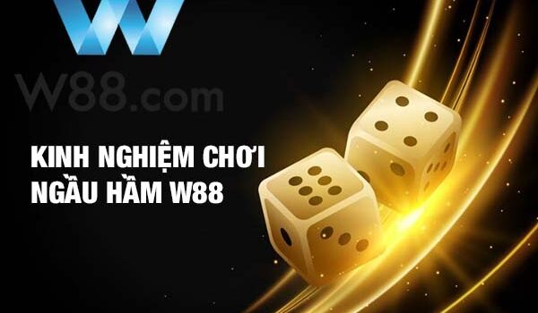 Chia sẻ kinh nghiệm chơi ngầu hầm W88 tỷ lệ thắng lớn